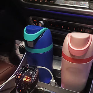 Insulated Stainless Steel Water Bottle